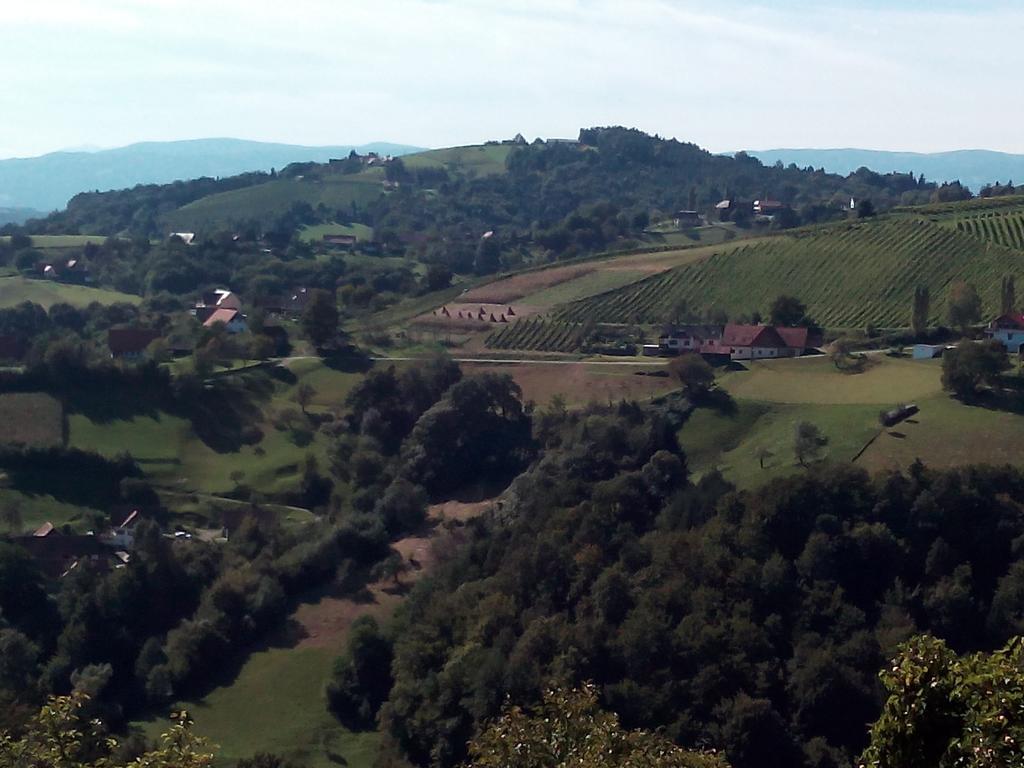 Gaestehaus Grasch Kitzeck im Sausal Dış mekan fotoğraf