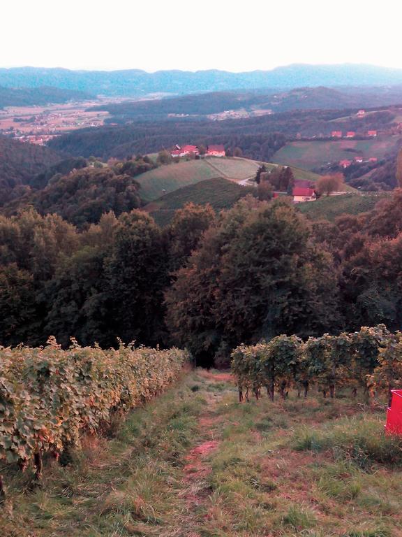 Gaestehaus Grasch Kitzeck im Sausal Dış mekan fotoğraf